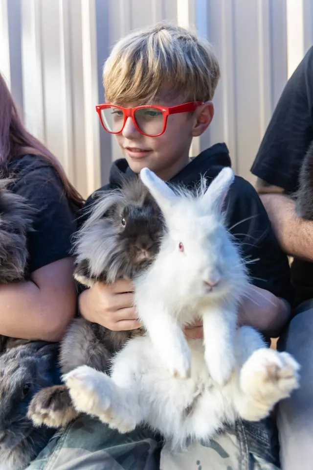 A young guest in red glasses holds a white rabbit during a birthday encounter.