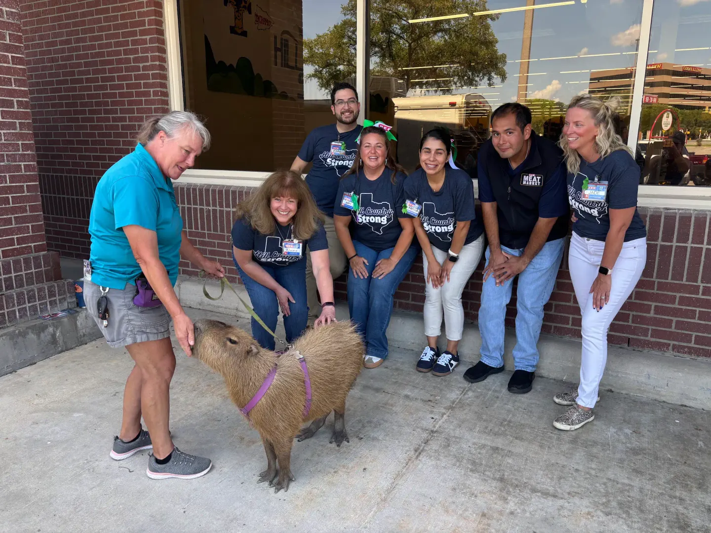 A group of coworkers in matching shirts posing with a harnessed capybara outside a brick building.